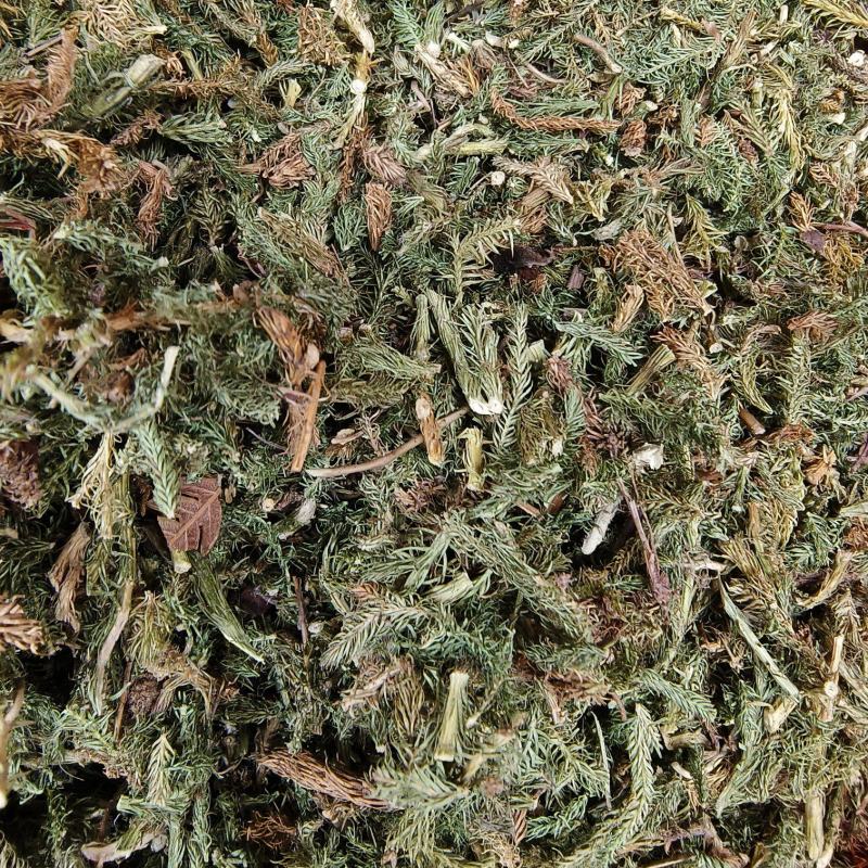 中药材伸筋草新货颜色漂亮保证质量量大优惠