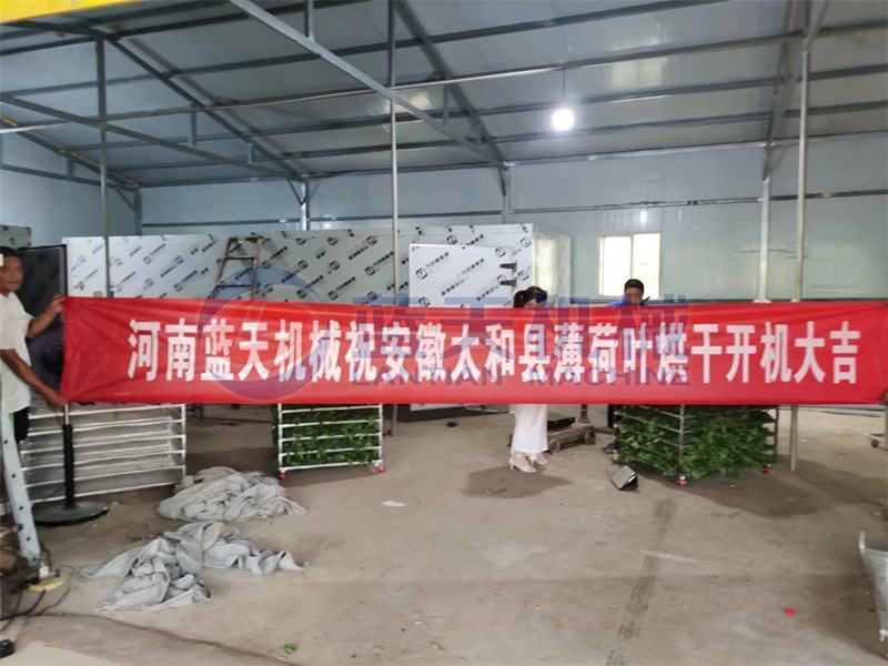 薄荷烘干机空薄荷茶烘干机薄荷苏薄荷烘干房薄荷干燥机
