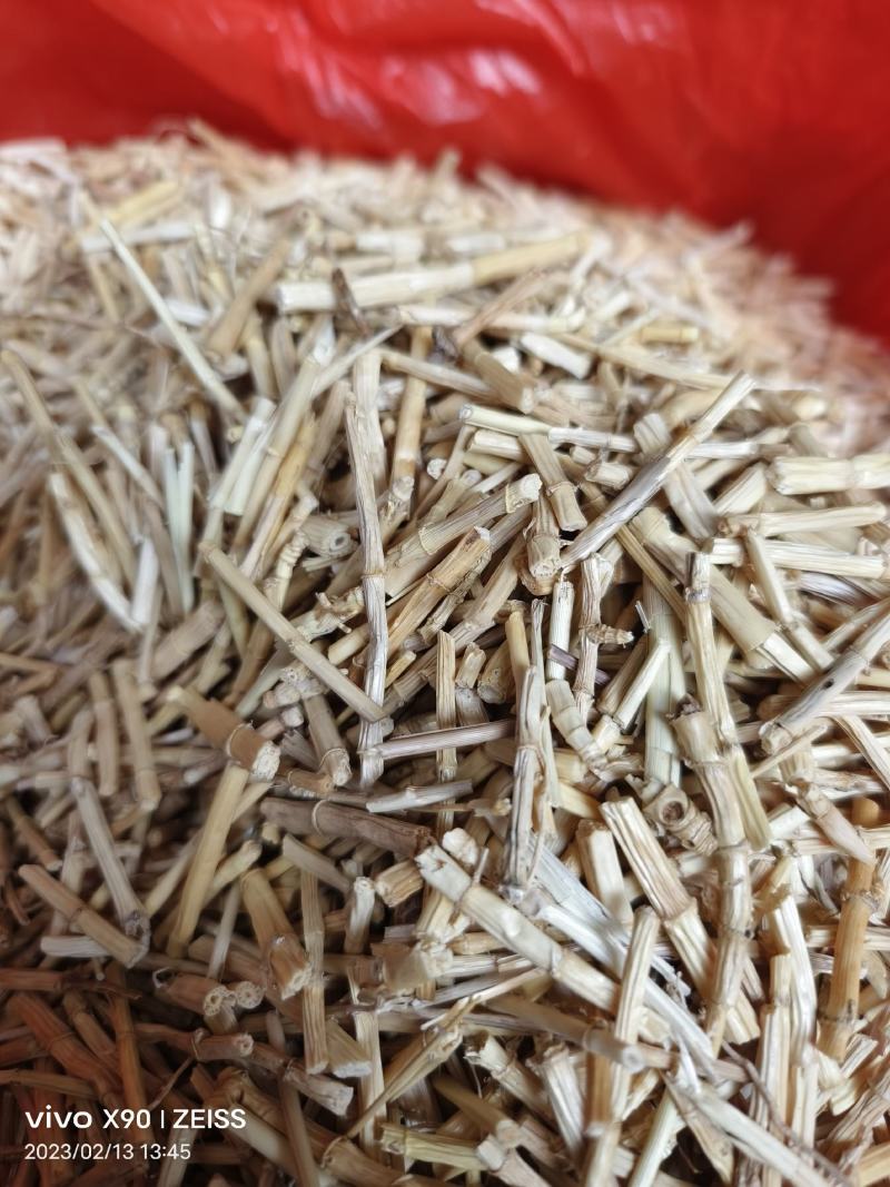 中药材白茅根新货保证质量量大优惠支持视频看货代发