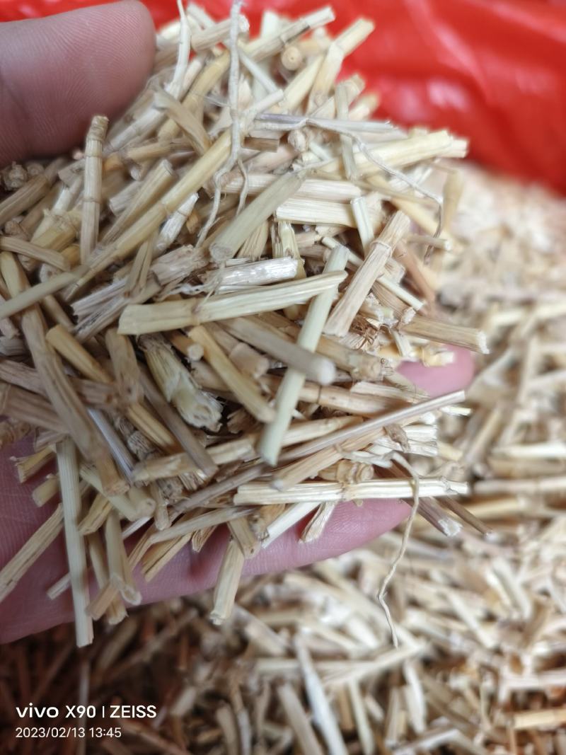 中药材白茅根新货保证质量量大优惠支持视频看货代发