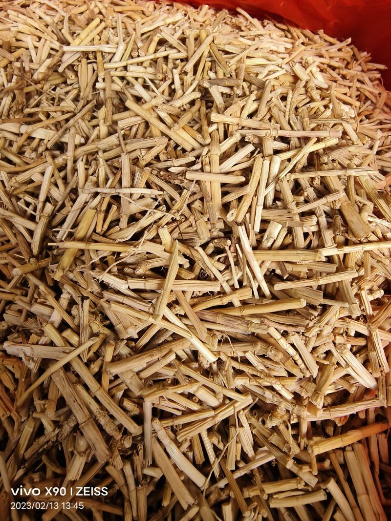 中药材白茅根新货保证质量量大优惠支持视频看货代发