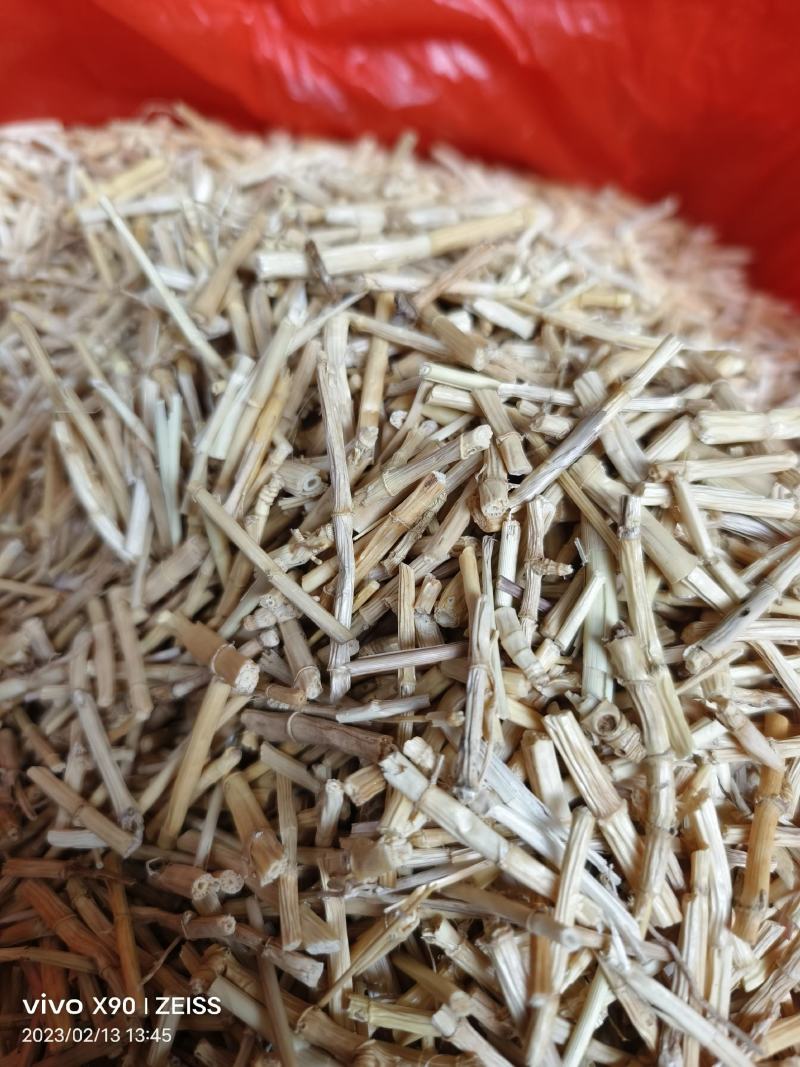 中药材白茅根新货保证质量量大优惠支持视频看货代发