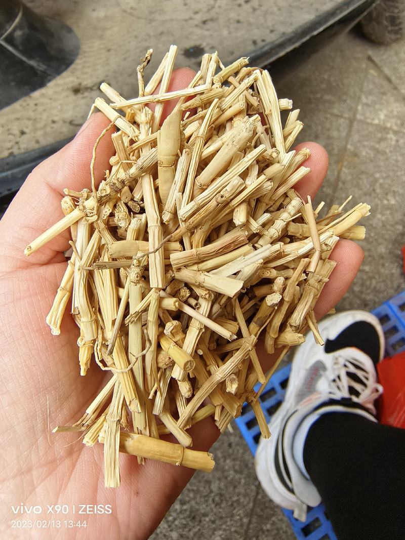 中药材白茅根新货保证质量量大优惠支持视频看货代发