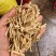 中药材白茅根新货保证质量量大优惠支持视频看货代发