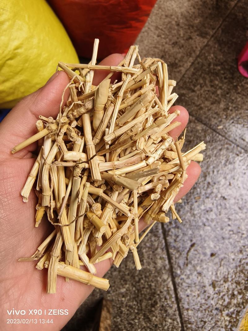 中药材白茅根新货保证质量量大优惠支持视频看货代发