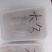 皮皮虾，公虾，母虾，都有货，可视频看货