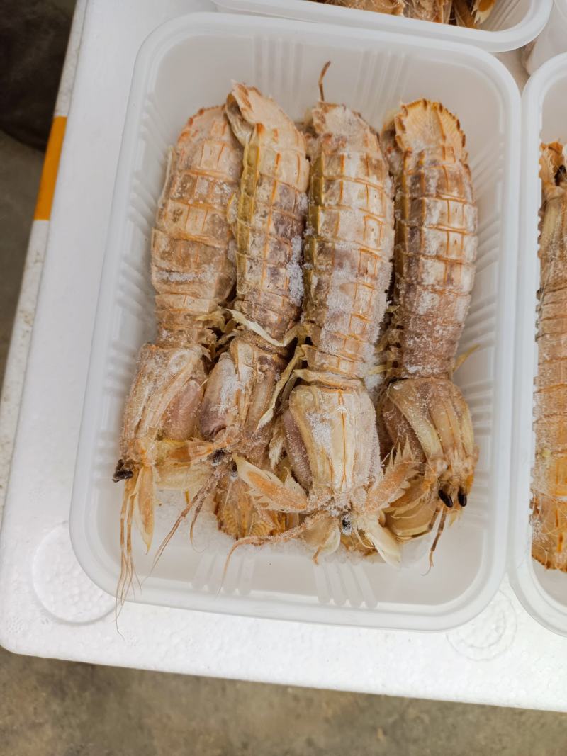 皮皮虾，公虾，母虾，都有货，可视频看货