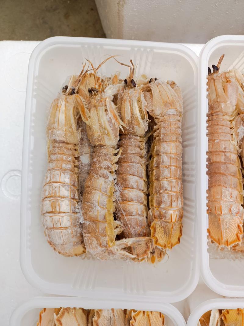 皮皮虾，公虾，母虾，都有货，可视频看货