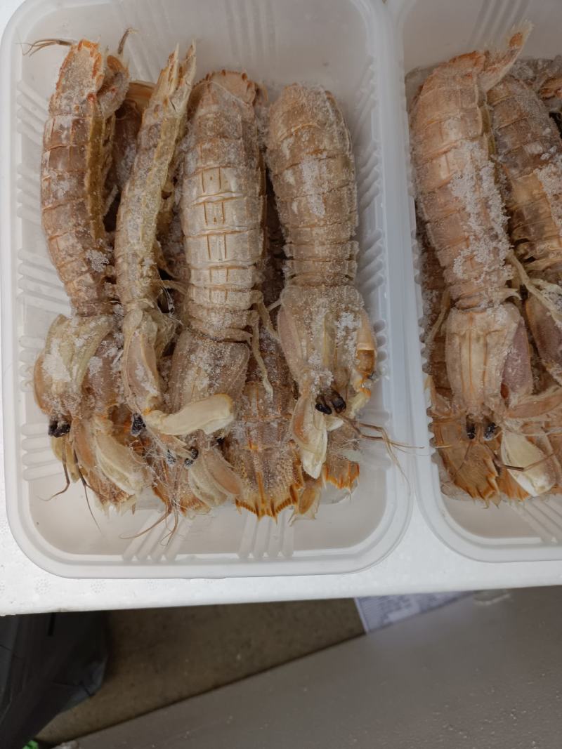 皮皮虾，公虾，母虾，都有货，可视频看货
