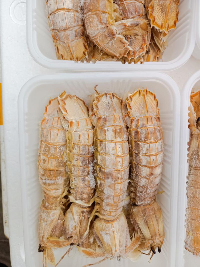 皮皮虾，公虾，母虾，都有货，可视频看货