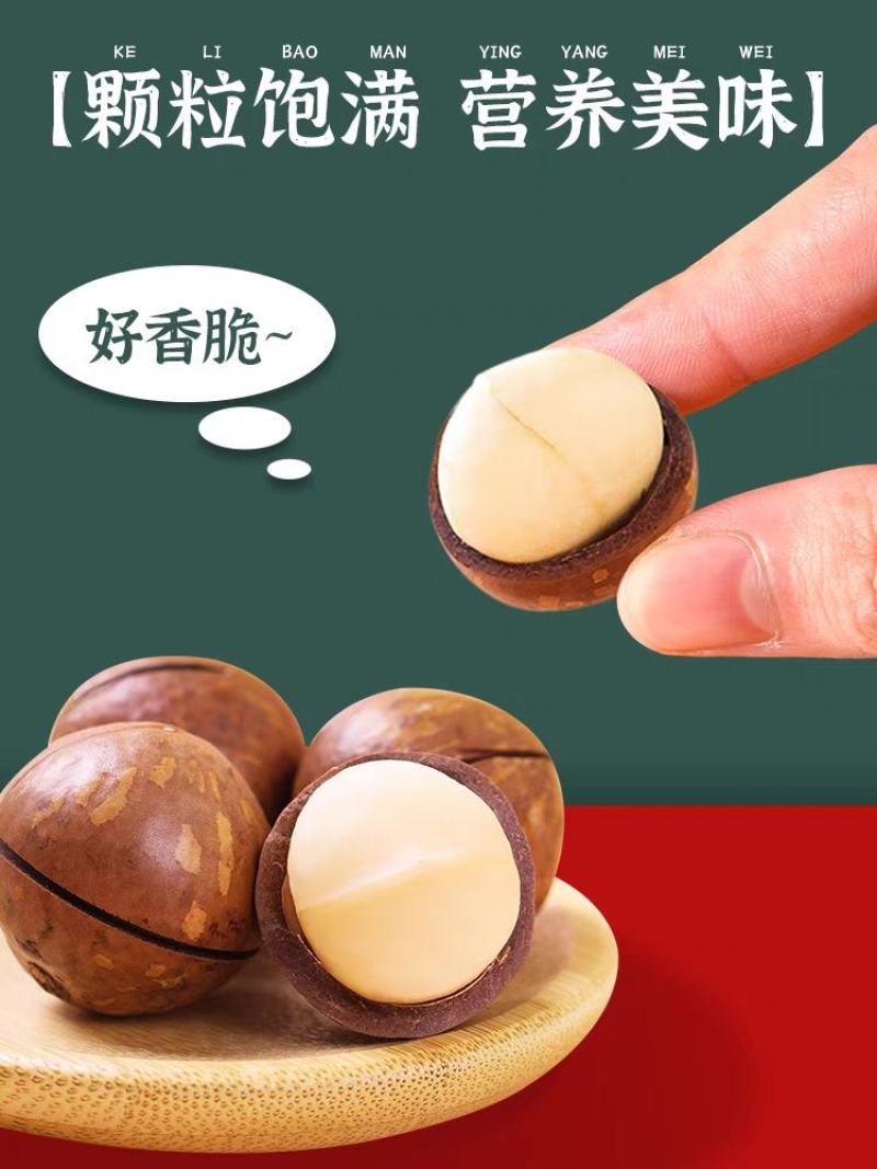 2023年新货夏威夷果坚果奶油味原味特好剥干果一件代发