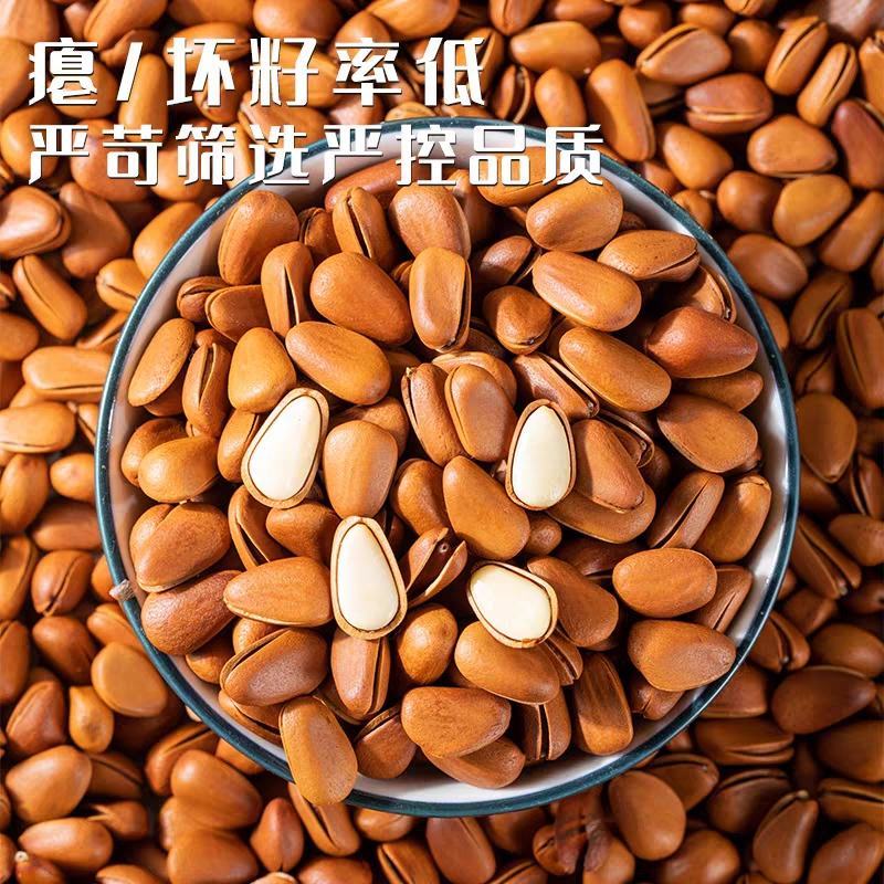 2023年东北松子特级特大颗粒红松籽坚果零食，一件代发