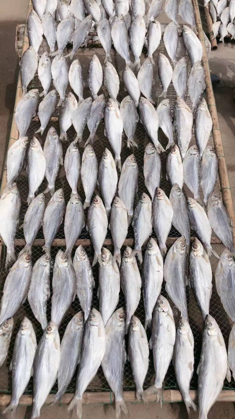 深海白磷鱼细鳞咸鱼清蒸鱼腌制海鱼自然晾晒，肉质鲜美