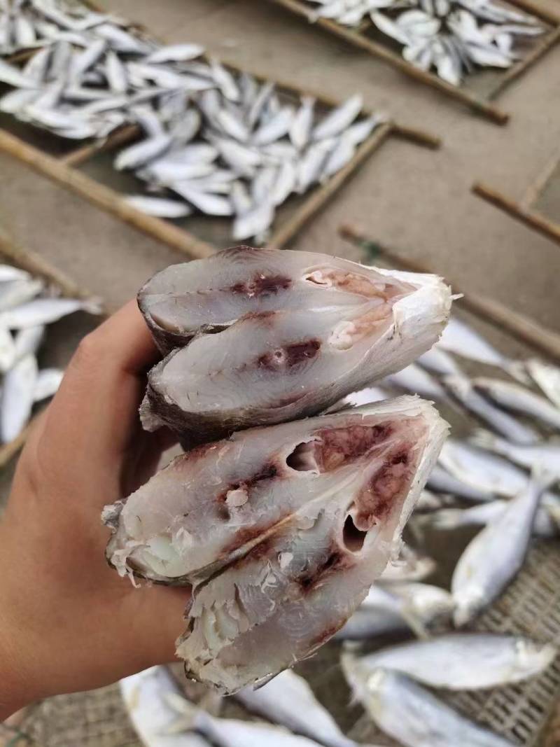 深海白磷鱼细鳞咸鱼清蒸鱼腌制海鱼自然晾晒，肉质鲜美