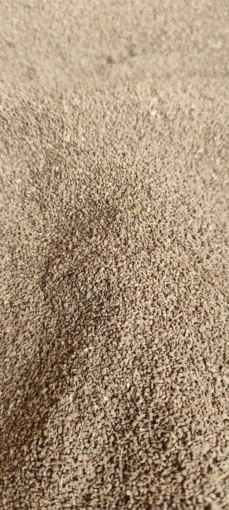 芹菜籽包邮芹菜子量大从优一手货源冷背药材批发