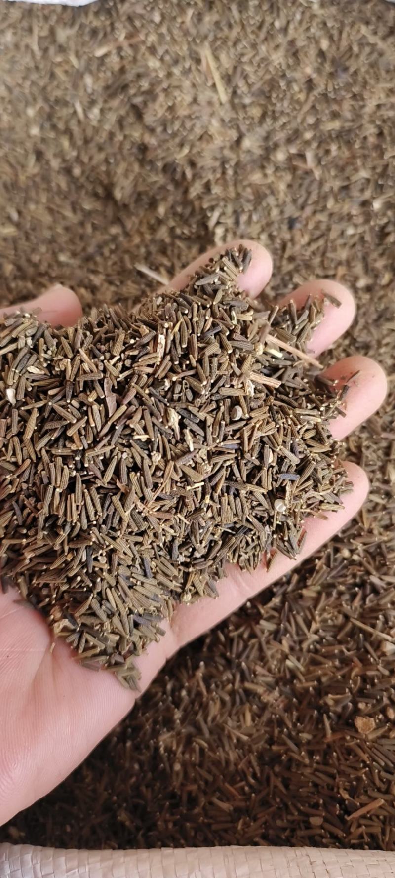 驱虫斑鸠菊包邮发货量大从优冷背药材齐全质量可靠