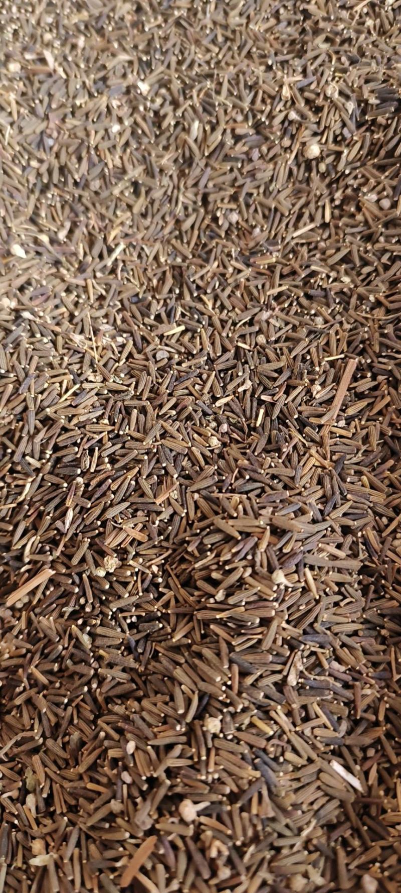 驱虫斑鸠菊包邮发货量大从优冷背药材齐全质量可靠