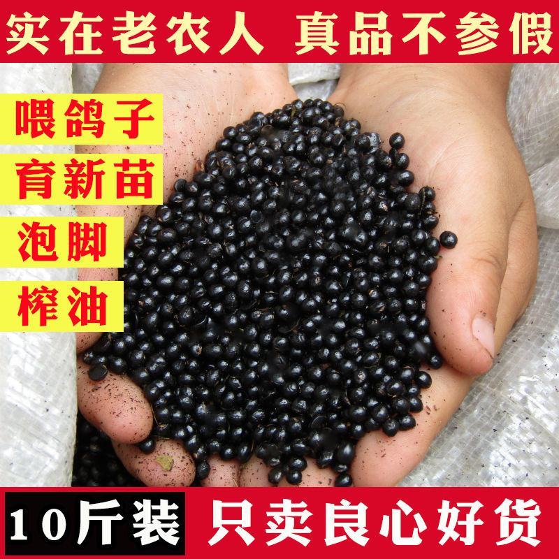 花椒籽当年头茬新货可喂鸽子可育苗