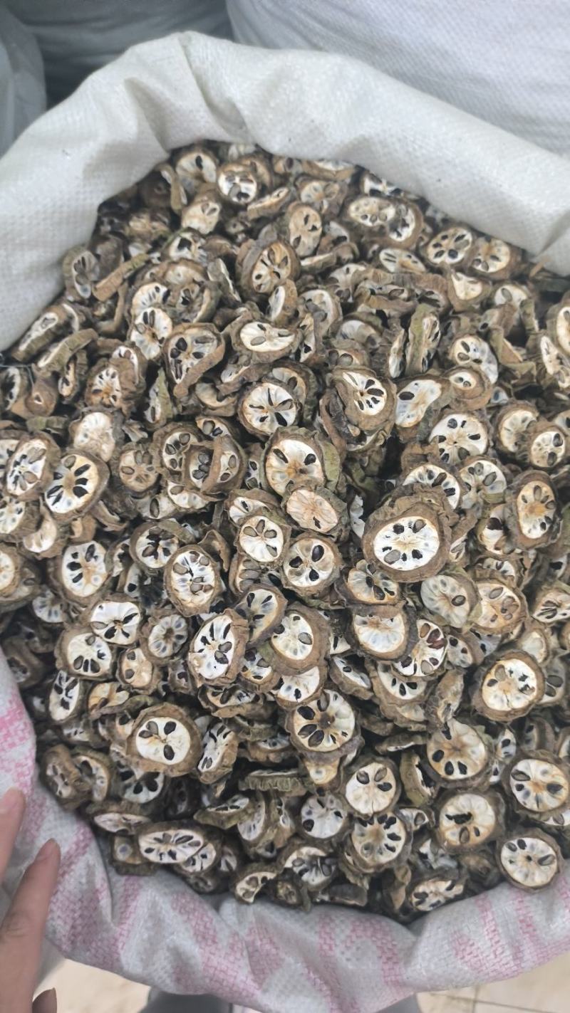 八月扎无硫八月扎预知子长年加工量大从优
