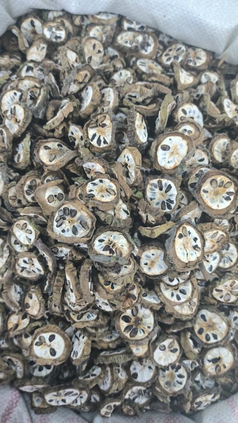 八月扎无硫八月扎预知子长年加工量大从优