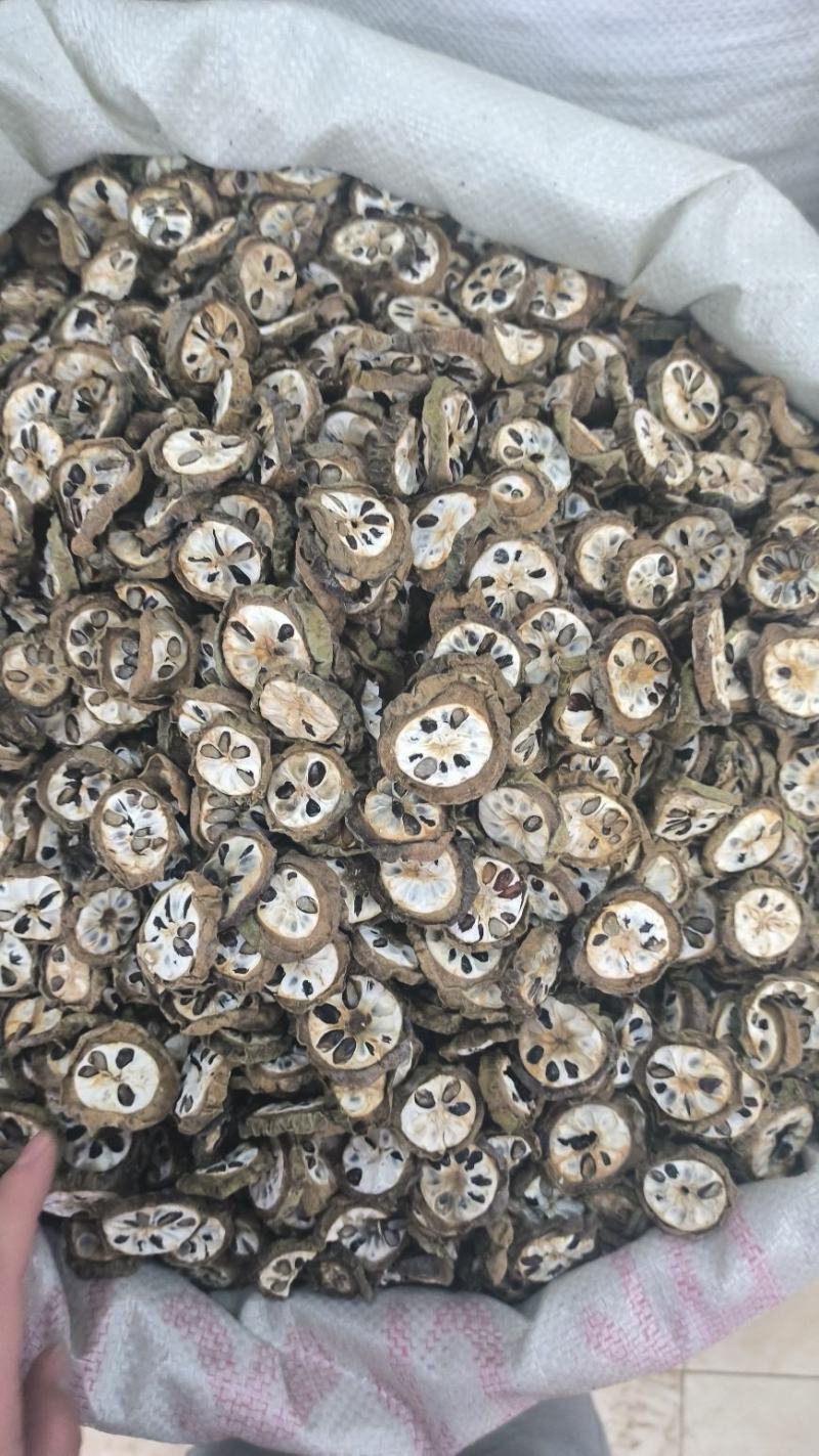 八月扎无硫八月扎预知子长年加工量大从优