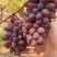 云南茉莉香葡萄