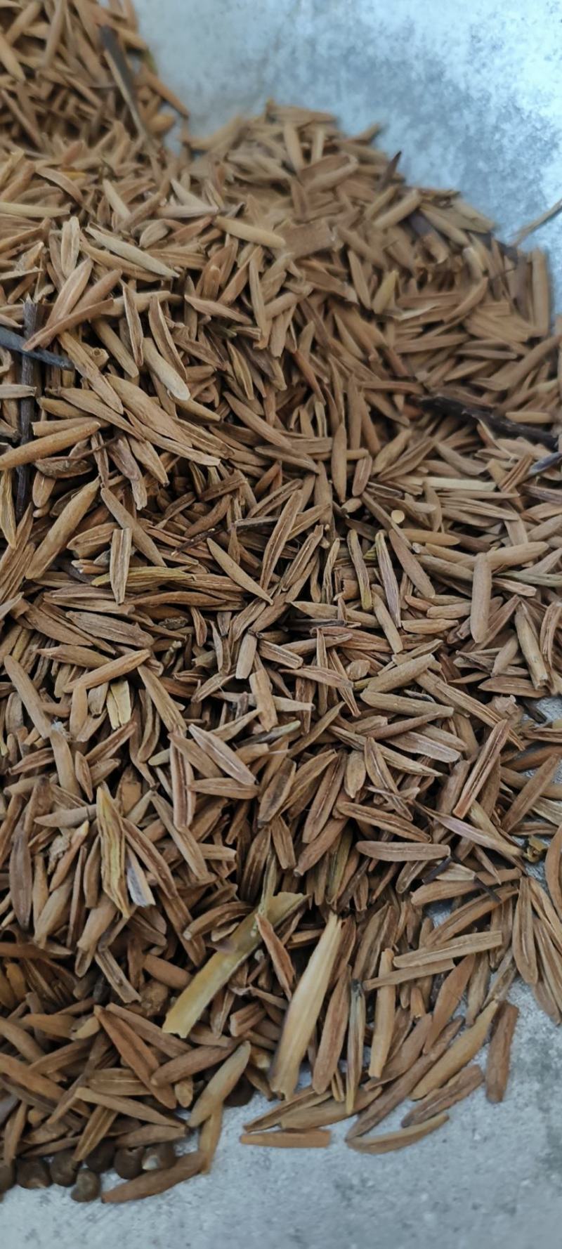 止泻木皮包邮止泻木子冷背药材量大从优地道药材