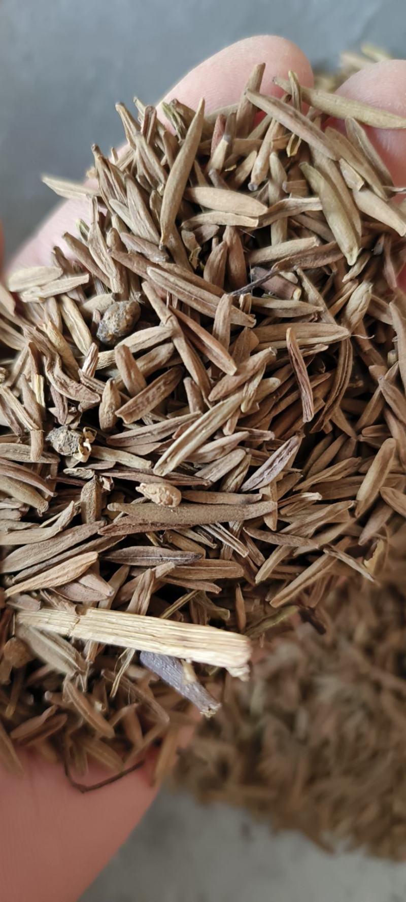 止泻木皮包邮止泻木子冷背药材量大从优地道药材