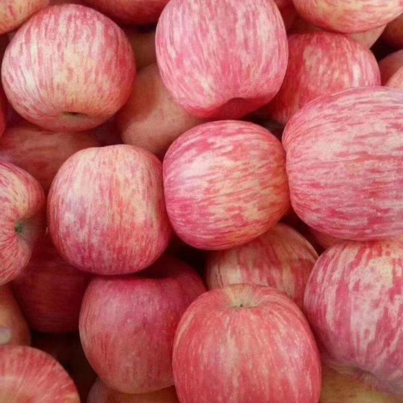 山东红富士苹果，口感脆甜多汁，产地大量现货供应，保证质量
