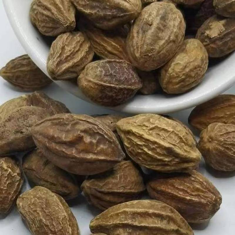 诃子肉诃子肉各种规格批发零售正品保证