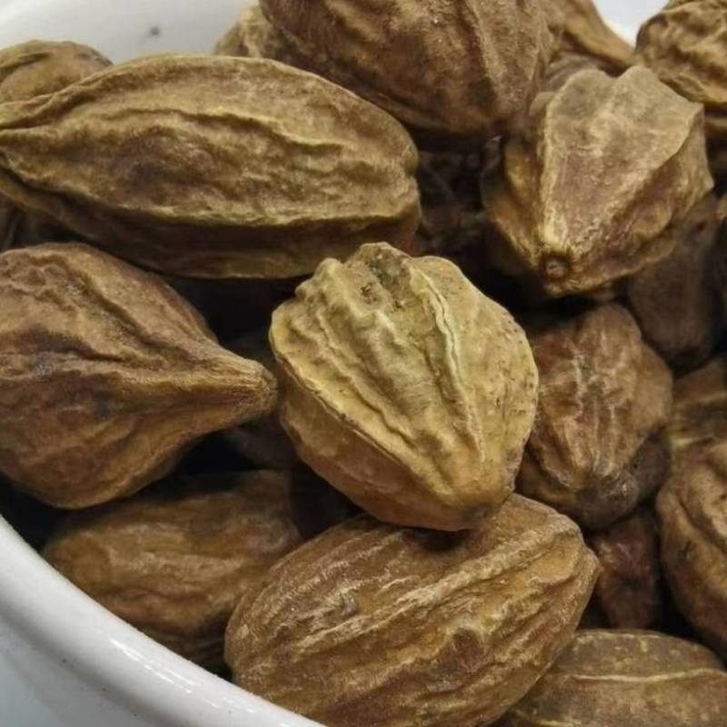 诃子肉诃子肉各种规格批发零售正品保证