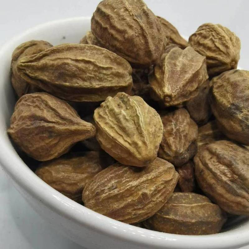 诃子肉诃子肉各种规格批发零售正品保证