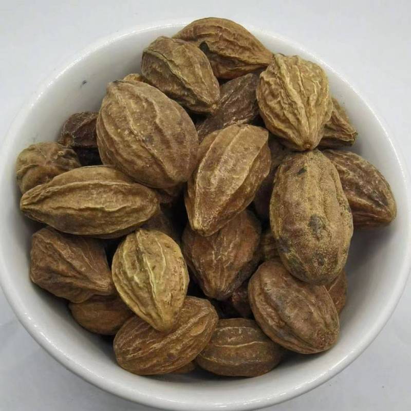 诃子肉诃子肉各种规格批发零售正品保证