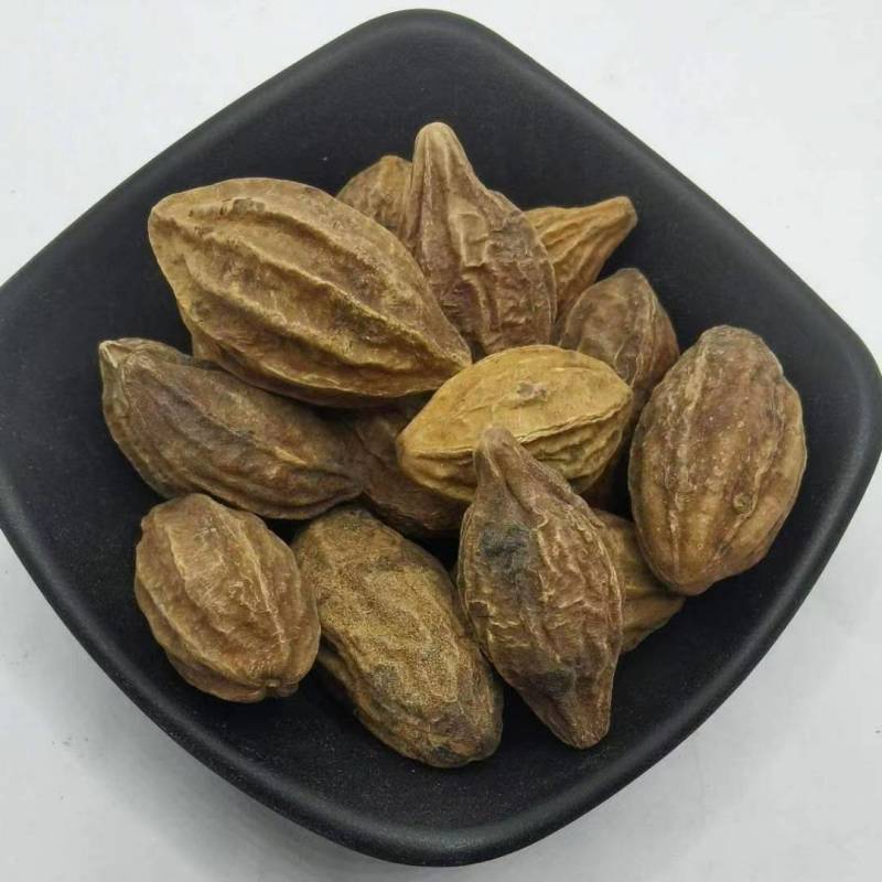 诃子肉诃子肉各种规格批发零售正品保证