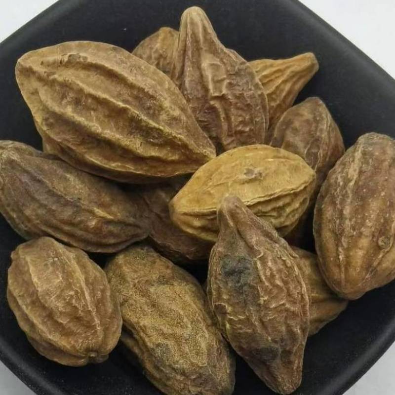 诃子肉诃子肉各种规格批发零售正品保证