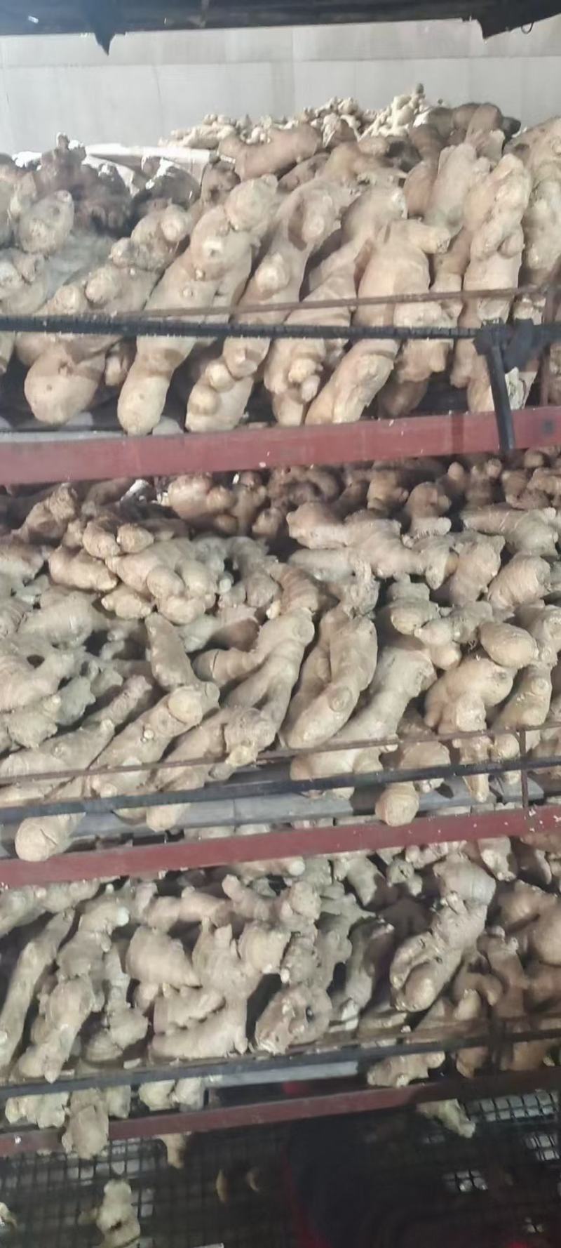 山东大姜风干大姜大量现货品质好对接电商市场大量发货