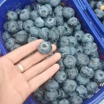 蓝莓超大，超甜，硬度高