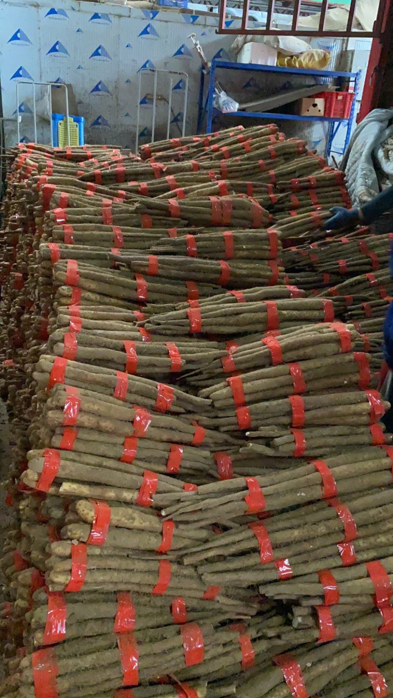 【走量价】山药，精品山药电商货一块多点欢迎电话联系