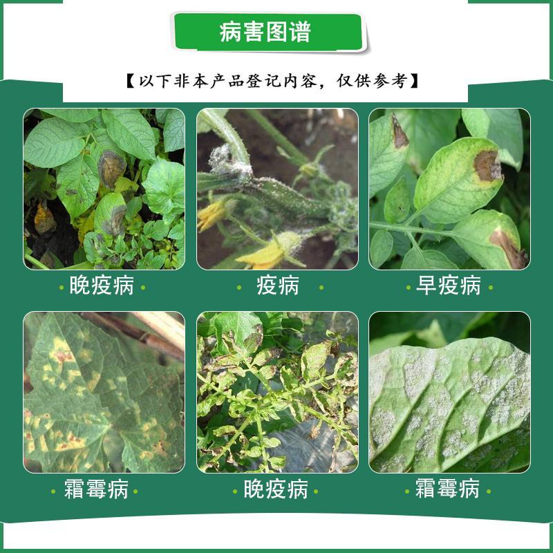 沪联瑞露霜克宁组合烯酰吗啉霜脲锰锌霜霉病疫病黑胫病杀菌剂
