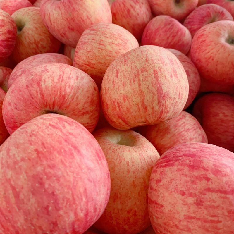 冷库红富士苹果产地批发，货源充足，口感脆甜
