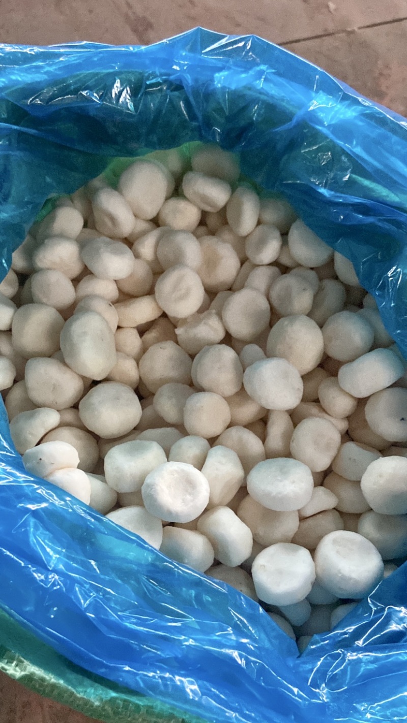 厂家批发速冻白马蹄荔浦马蹄圆马蹄速冻荸荠去皮马蹄批发