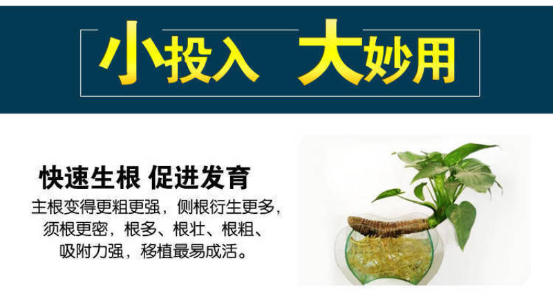 活菌生根壮苗剂生根剂壮秧扦插移栽促生长促生根抗病