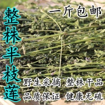 半枝莲整株中药材包邮