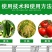 日本北兴加收米2%春雷霉素叶斑病角斑病稻瘟病杀菌剂
