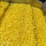 速冻象牙芒果丁可视频看货有自家工厂生产