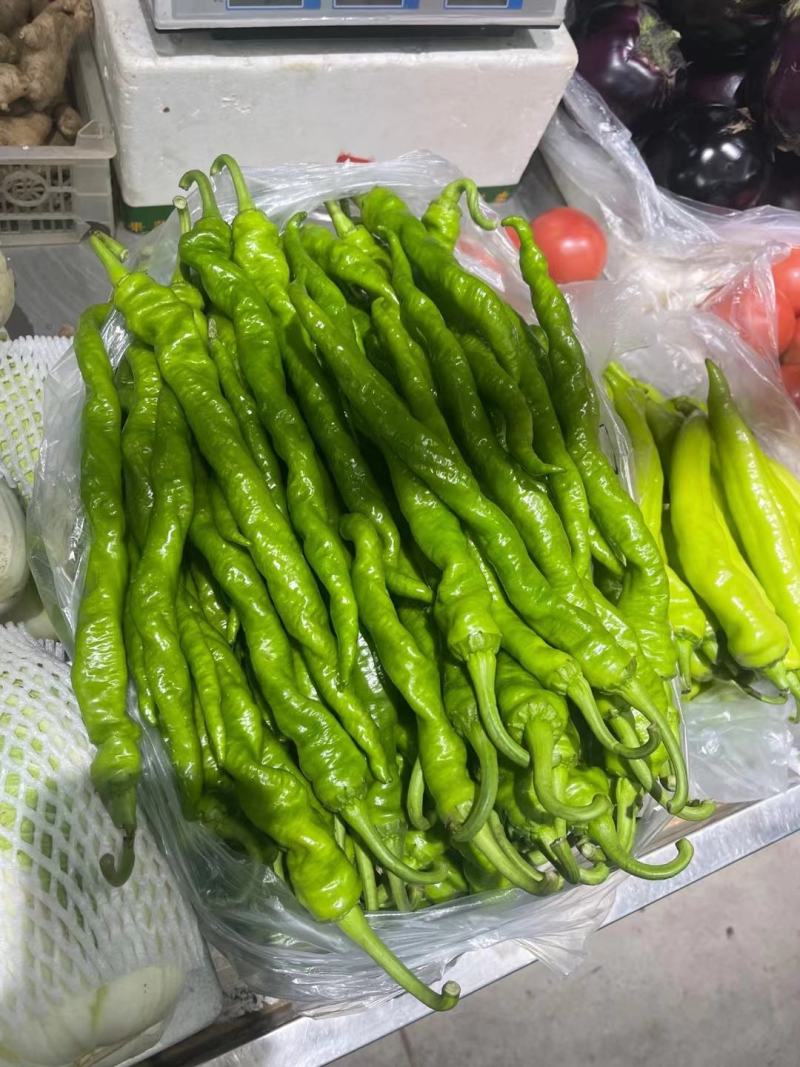 黄皮尖椒，泡椒，螺丝椒等各种辣椒产地，保质保量