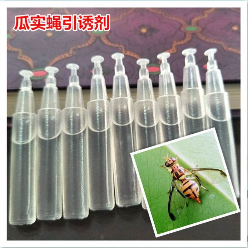果蝇引诱剂瓜果实蝇诱捕器药水水果园蔬菜桔小实蝇粘剂针锋防