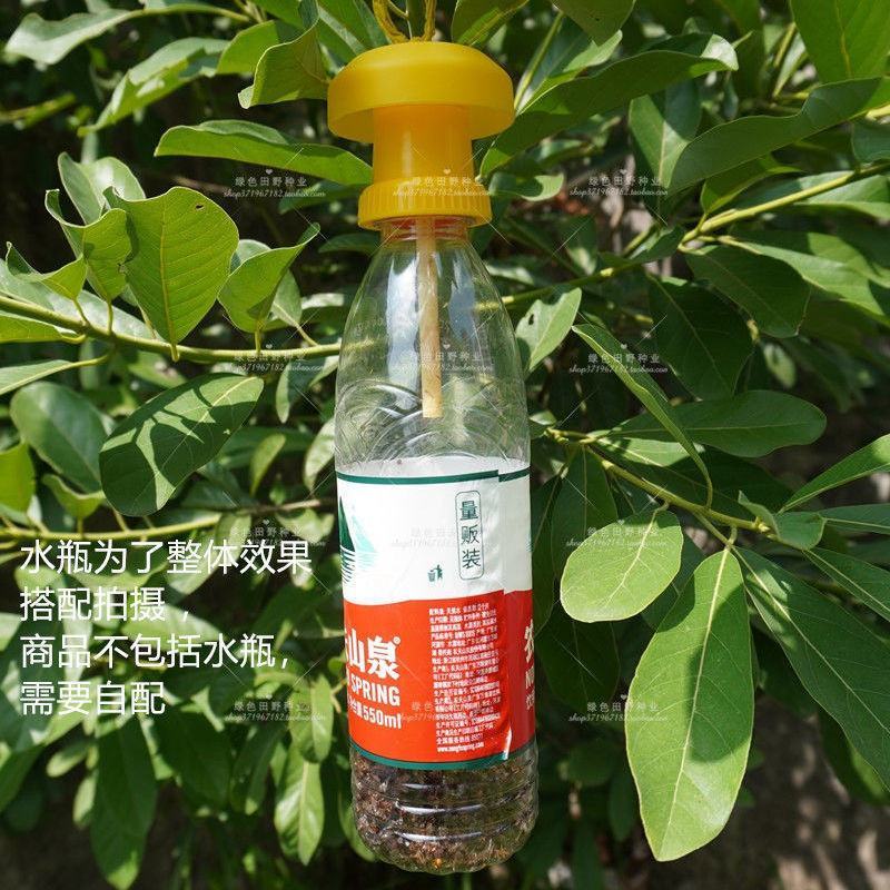 果蝇引诱剂瓜果实蝇诱捕器药水水果园蔬菜桔小实蝇粘剂针锋防