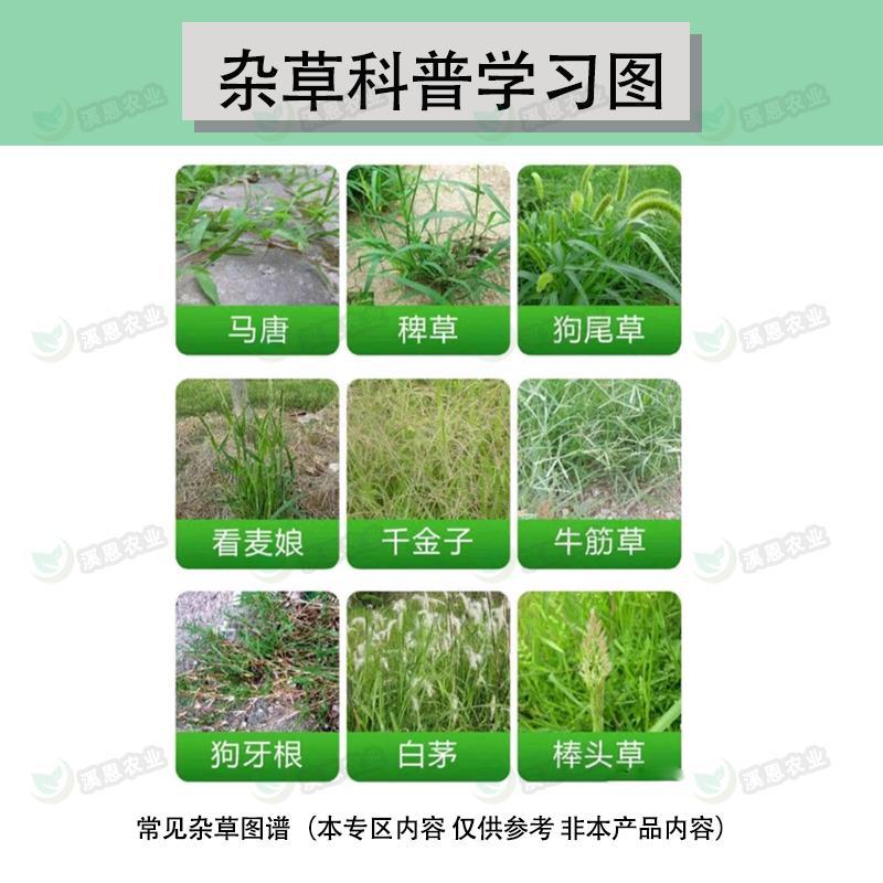 永农金草安10%精草铵膦铵盐果园荒地杂草除草剂