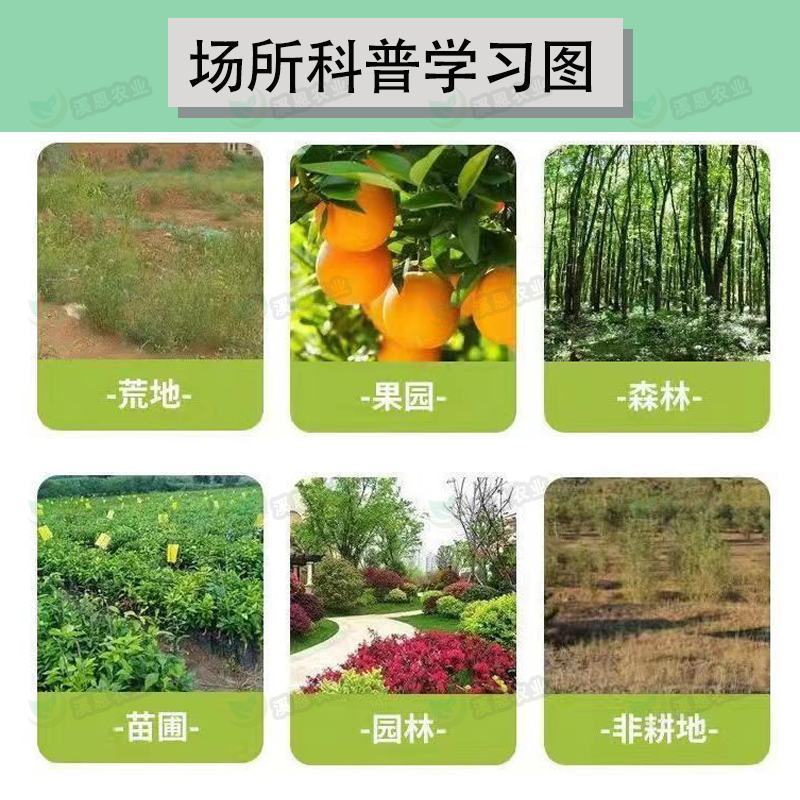 永农金草安10%精草铵膦铵盐果园荒地杂草除草剂